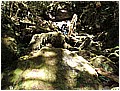 2008-7-2 下午 02-36-27---太平溪東源2.jpg